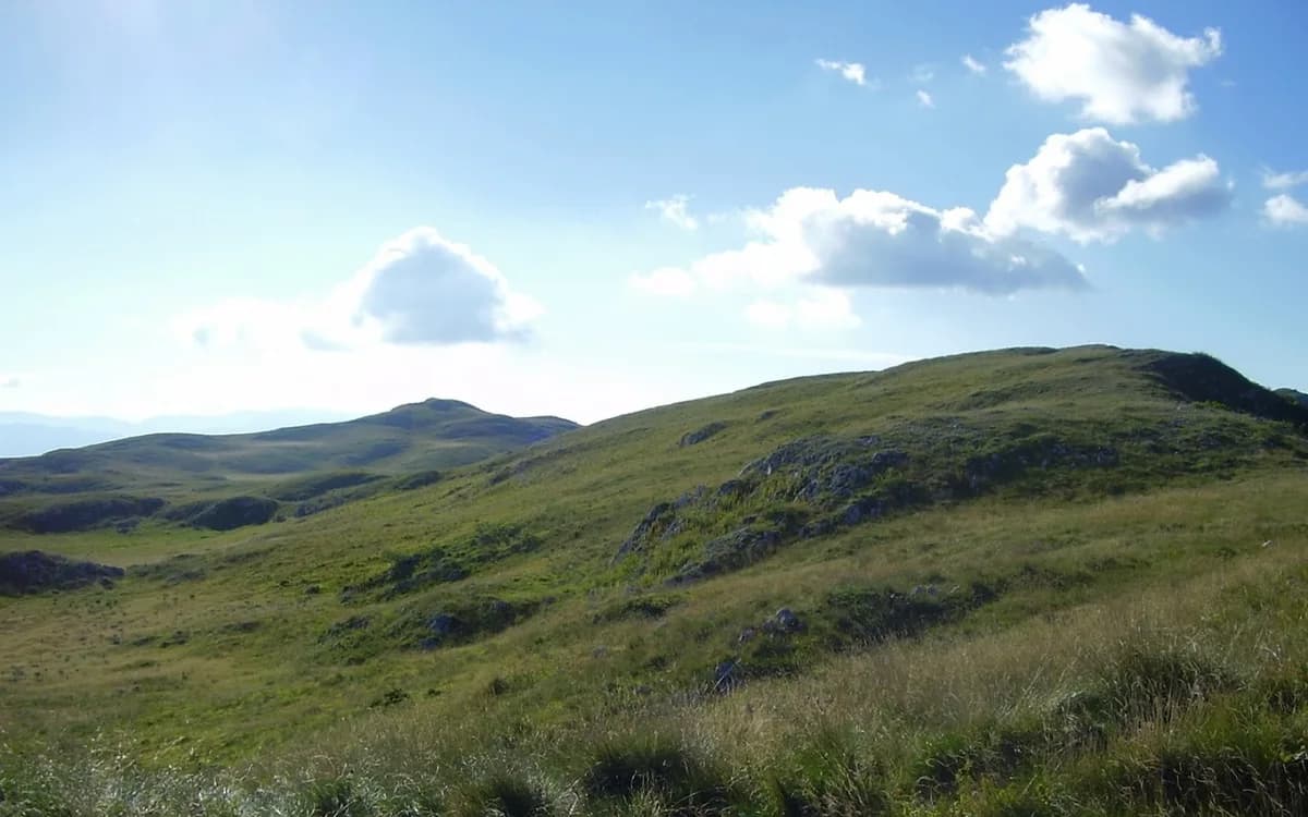 Green-season mountain landscape on Jahorina